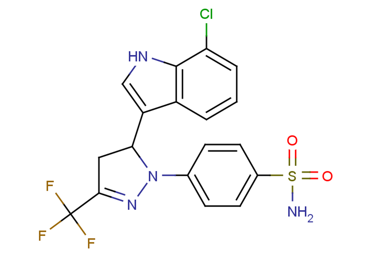 COX-2-IN-1ͼƬ