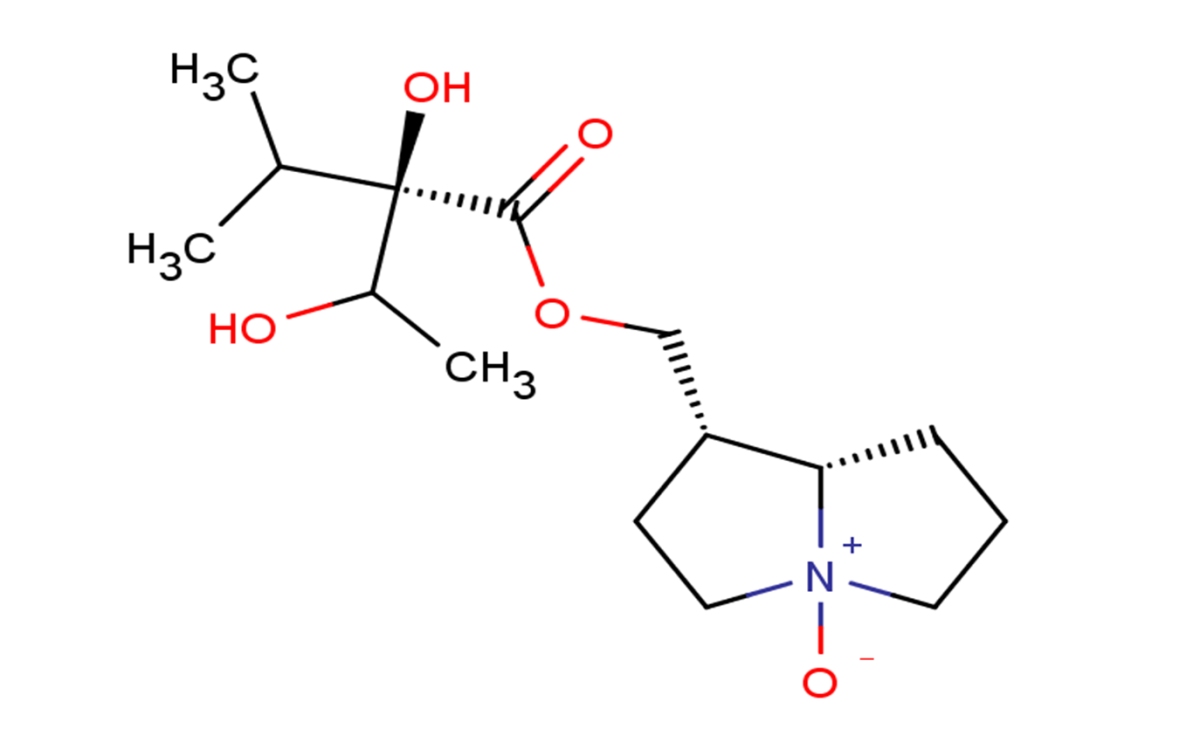 TrachelanthineͼƬ