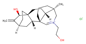 Guanfu base H图片