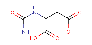 N-carbamoyl-DL-aspartic acidͼƬ