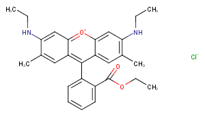 Rhodamine 6GͼƬ