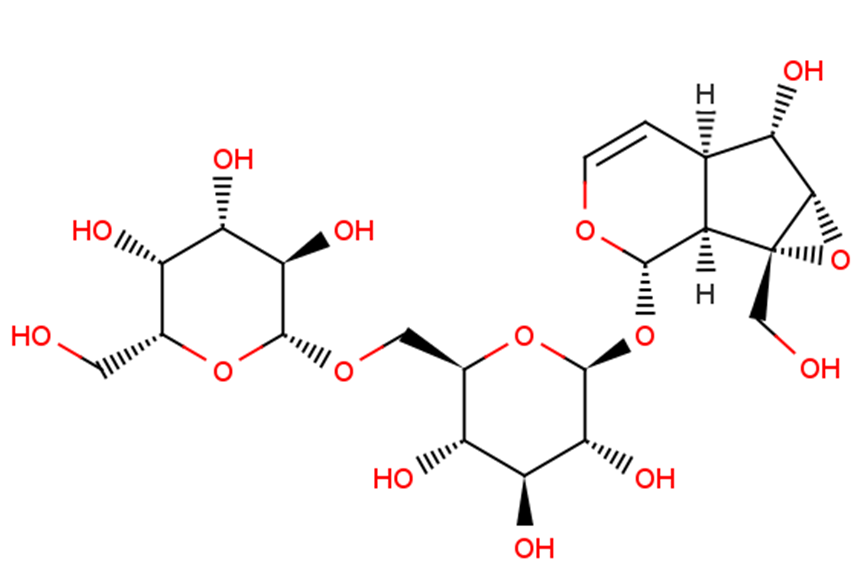 Rehmannioside AͼƬ