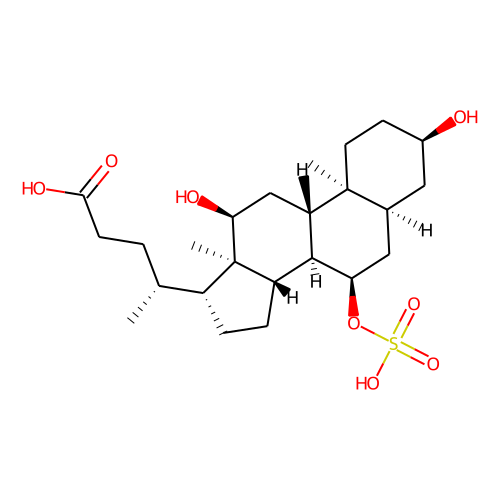 Cholic Acid 7-sulfateͼƬ