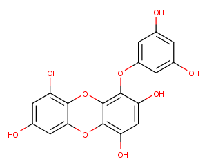 EckolͼƬ