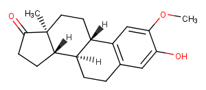 2-MethoxyestroneͼƬ