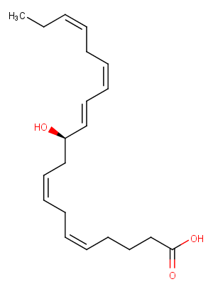 11(R)-HEPEͼƬ