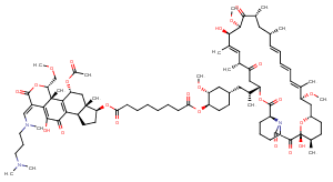 Wortmannin-Rapamycin ConjugateͼƬ