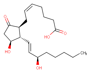 ent-Prostaglandin E2ͼƬ