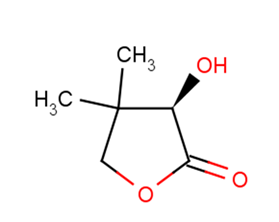 (R)-3-Hydroxy-4,4-dimethyldihydrofuran-2(3H)-oneͼƬ