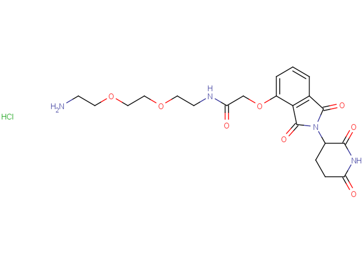 Thalidomide-O-amido-PEG2-C2-NH2 hydrochlorideͼƬ