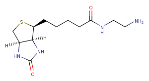 Biotin-EDA图片