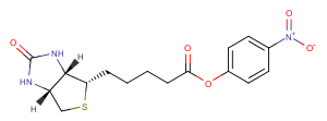 (+)-Biotin-ONPͼƬ