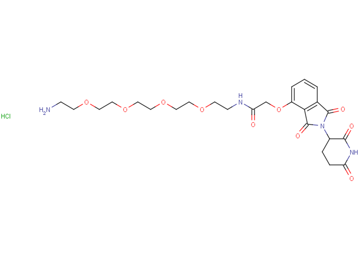 Thalidomide-O-amido-PEG4-C2-NH2 hydrochlorideͼƬ