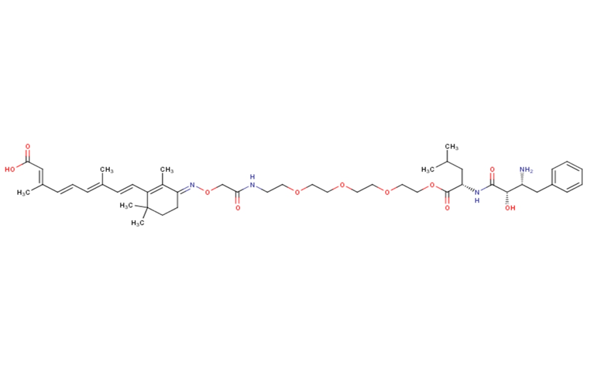 PROTAC CRABP-II Degrader-3ͼƬ