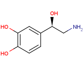 NorepinephrineͼƬ