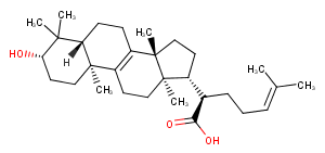 Trametenolic acidͼƬ