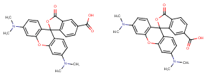 5(6)-TAMRAͼƬ