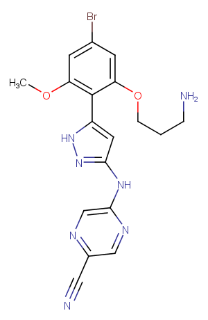 CHK1-IN-4ͼƬ