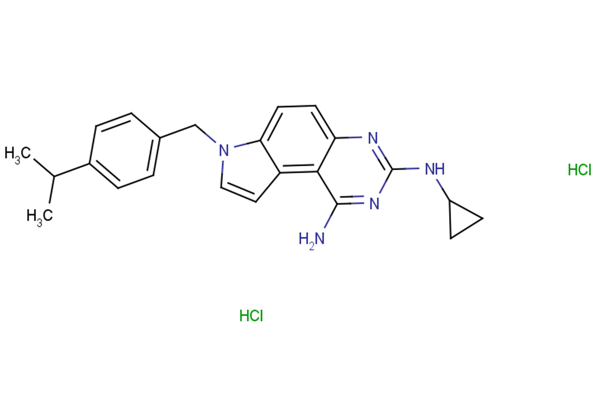 SCH79797 dihydrochlorideͼƬ