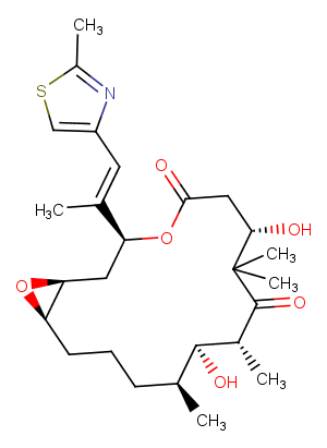 Epothilone AͼƬ