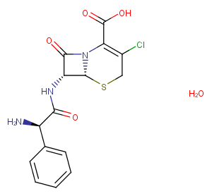 Cefaclor monohydrateͼƬ