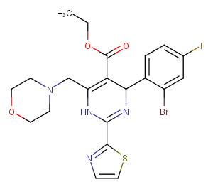 MorphothiadinͼƬ