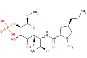 Clindamycin PhosphateͼƬ