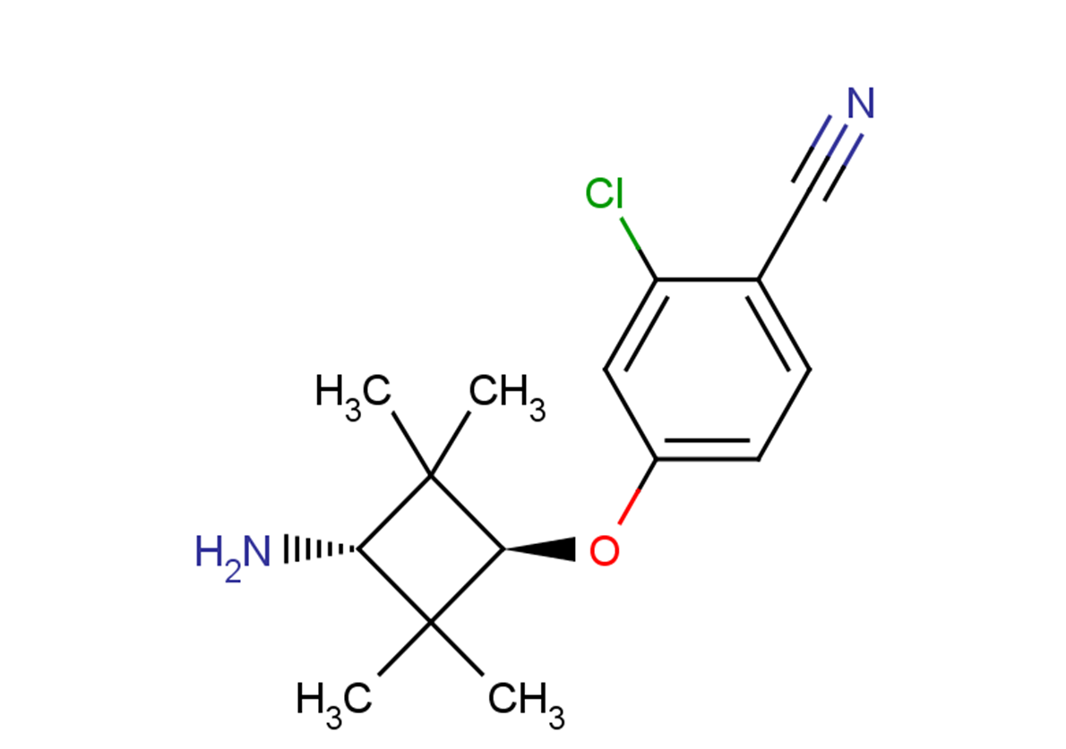 AR antagonist 1ͼƬ