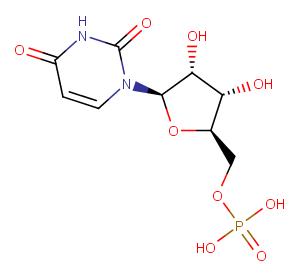 Uridine 5'-monophosphate图片