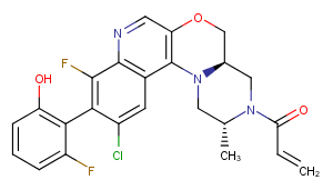 KRAS G12C inhibitor 17图片