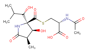 LactacystinͼƬ