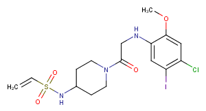 K-Ras(G12C)inhibitor 9ͼƬ