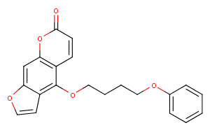 PAP-1ͼƬ