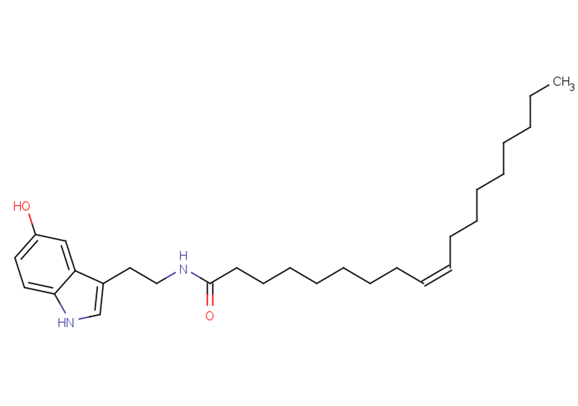 Oleoyl SerotoninͼƬ