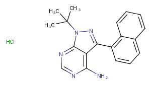 1-Naphthyl PP1 hydrochlorideͼƬ