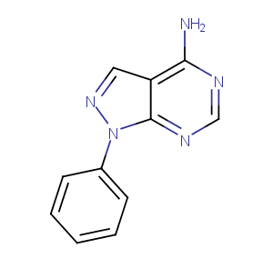 PP 3图片