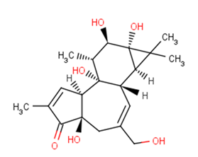 PhorbolͼƬ