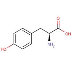 L-Tyrosine图片