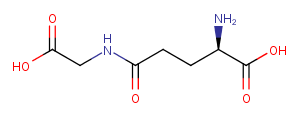 gamma-DGGͼƬ