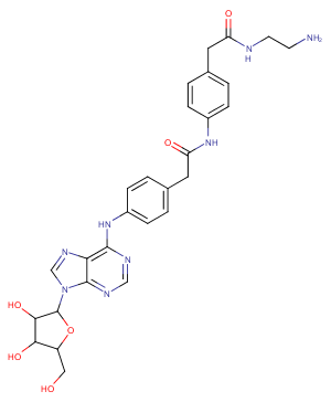 Adenosine amine congenerͼƬ