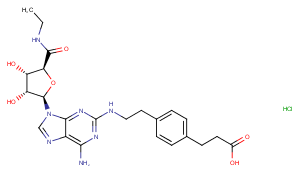 CGS 21680 HydrochlorideͼƬ