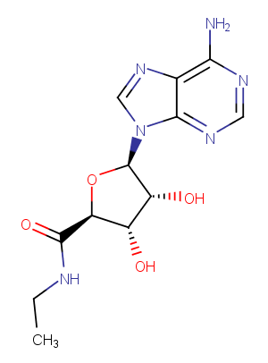 5'-N-Ethylcarboxamidoadenosine图片