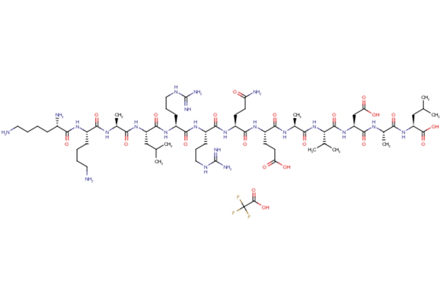 CaM kinase II inhibitor TFA saltͼƬ