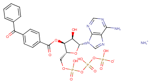 BzATP triethylammonium saltͼƬ