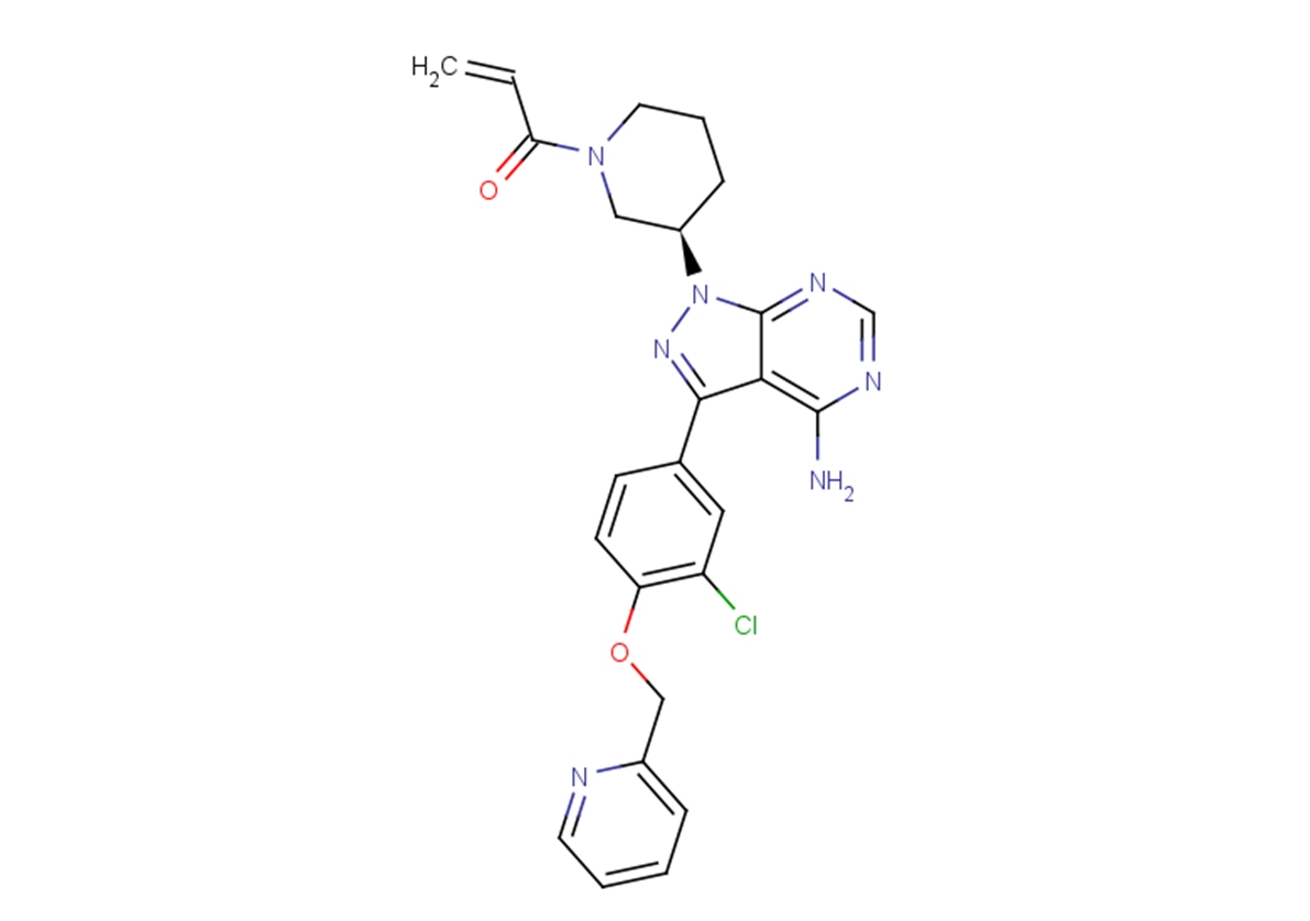 CHMFL-EGFR-202ͼƬ