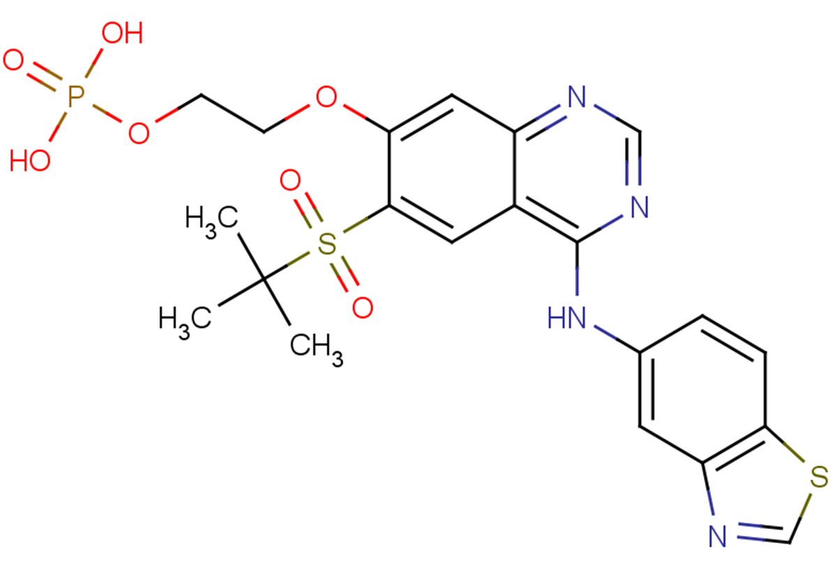 GSK2983559 free acidͼƬ