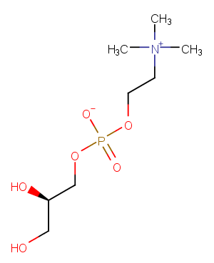 sn-Glycero-3-phosphocholine图片