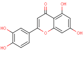 LuteolinͼƬ