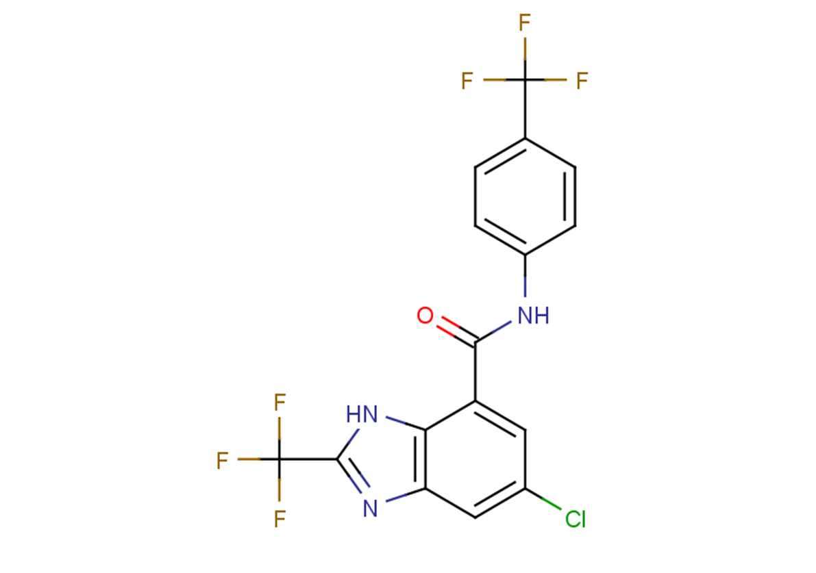 DK419图片