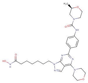 HDACs/mTOR Inhibitor 1ͼƬ